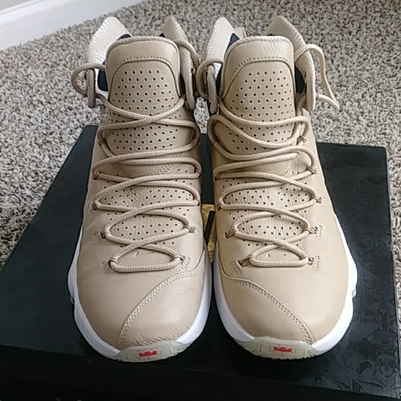 Nike Shoes Mans Lebron James Rare Edition High Tops Poshmark